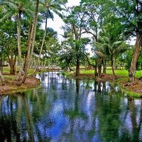 Shore Excursions