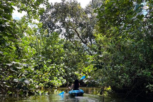 Kahana Bay Kayak and Stand Up Paddle Board Rental River to Ocean