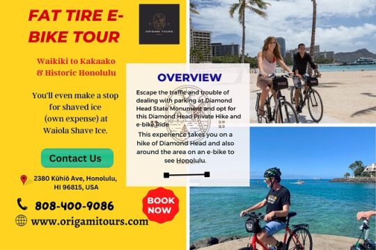Origamitours | Waikiki to Kakaako & Historic Honolulu - Fat Tire E-Bike Tour
