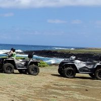 Half-day Tours