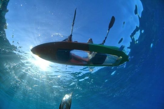 Maui's Only Clear Bottom Kayak Rental (priced per tandem kayak)