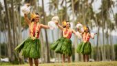 Highly recommend Luau you will not be disappointed!