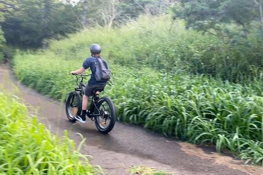 West Maui: Self-Guided E-Bike Kapalua Jungle Adventure Tour