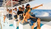 Skip the kayak, wanted to book again the very next day