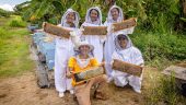HH Honey Farm