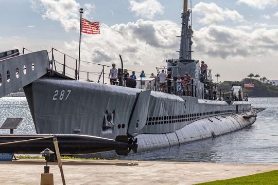 Private Arizona Memorial Bowfin Submarine and Honolulu City Tour