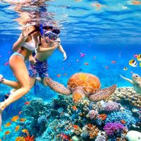 Stand Up Paddleboarding