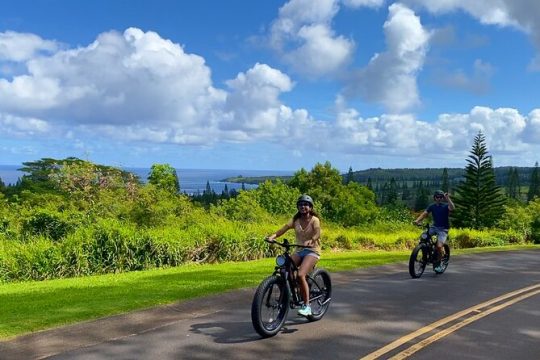 Lahaina to Kapalua Maui Explorer Electric Bike Rental