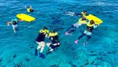 Turtle experience.