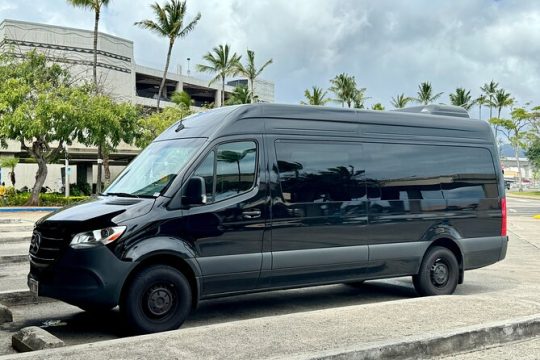 Honolulu Private transfer to Airport/Port/Hotel (1-12 Passengers)