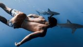 SWAM WITH SHARKS