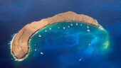 An Unforgettable Maui Experience!