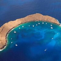 Sailing Trips