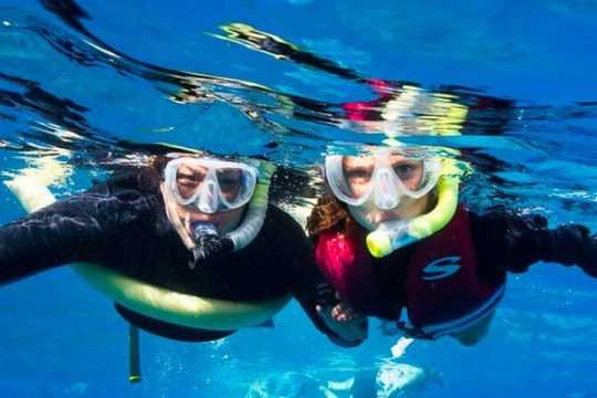 Two Stop Snorkel Adventure from Maui