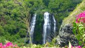 An Amazing Local Kauaʻi Experience!
