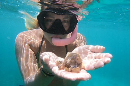 Marine Ecology Snorkel from Electric Beach Oahu