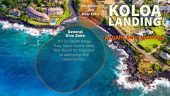Koloa Landing Shore Dive with Fathom Five Adventures