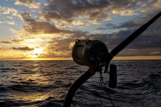 4 Hour Private Sunset Fishing Charter
