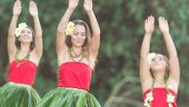 Informative but a long day at the Polynesian Cultural Center.
