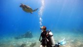 5 stars intro diving experience
