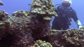 Amazing scuba diving experience