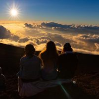 Half-day Tours