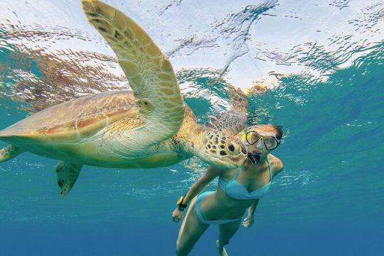 Swim with Turtle Water Scooter and Paddleboard Adventures in Oahu