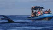 Great Experience with Blue Water Rafting in Maui