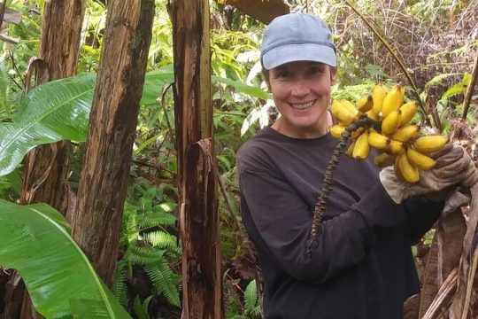 Private Hawaiian Rainforest Banana Cultivation Experience