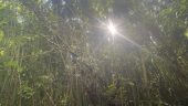 Great hike, great