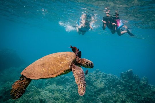 5-HR Snorkeling and Sail Experience with Breakfast and Lunch