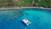 Dolphins, fish and turtles, oh my!