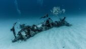 Sea Tiger and Horseshoe Reef/Kewalo Pipeline