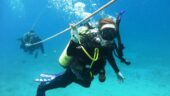 Great Dives Off Kauia