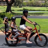 Bike Rentals