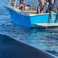 Kid Friendly Tours & Activities