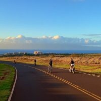 Bike Rentals