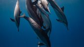 Best diving experience
