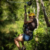 Ziplines