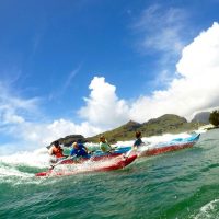Surfing & Windsurfing