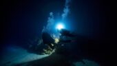 Night dive