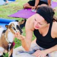 Yoga Classes