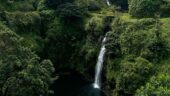 Great 1/2 Road to Hana with Tristan