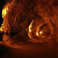 Eco Tours