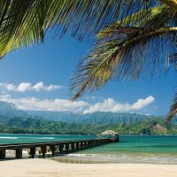 Kid Friendly Tours & Activities
