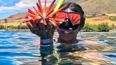 Unlimited guided snorkeling was a 5 star experience 