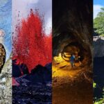 Shore Excursions