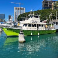 Fishing Charters & Tours