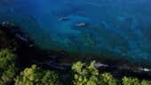 Excellent Snorkeling tour