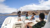 Amazing snorkel and lunch trip!